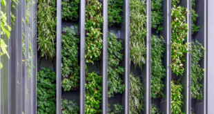 vertical garden