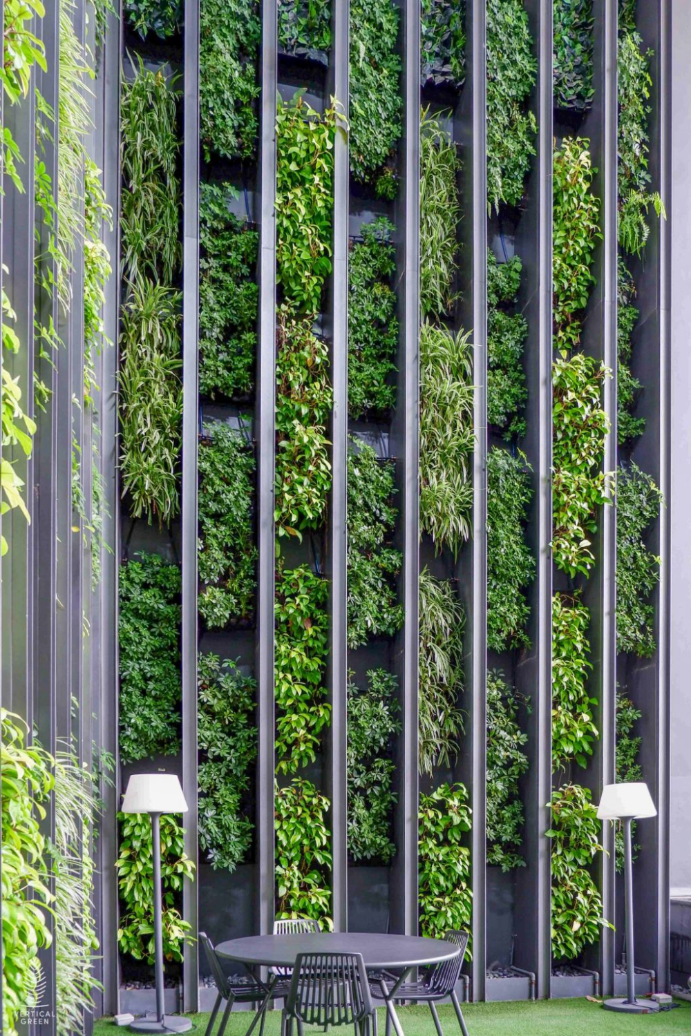 Vertical Gardens: A Green Oasis in Urban Spaces