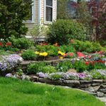 Summer Outdoor Gardening 101 - The Home Dep