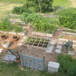 How to grow a backyard garden | Chanhassen news | swnewsmedia.c