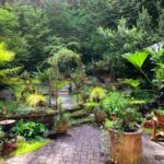 Backyard Garden Pictures | Download Free Images on Unspla