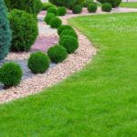 10 Cheap Backyard Ideas: No Grass Backyard Landscaping Options .