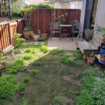 Have any ideas on how to spruce up this backyard for someone with .