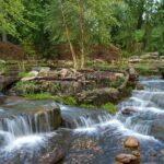 Large Ponds | Backyard Ponds & Backyard Waterfal