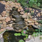 Mini Eco System Backyard Pond : r/pon