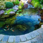 6 Small Pond Ideas for Backyard Entertaining Areas - Water .