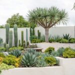 20+ simple xeriscape front yard and backyard ide