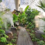 Oklahoma City Oasis: The Myriad Botanical Gardens | TravelOK.com .