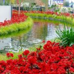 Botanical Gardens - Southern Living Plan