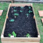 How to build easy and inexpensive DIY raised garden be