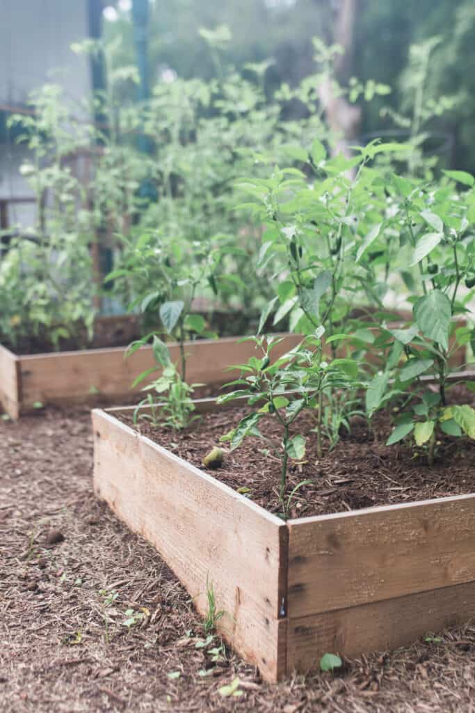 How To Build A Raised Garden Bed For Cheap - Farmhouse on Boo