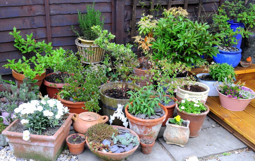 Creative Container Garden Inspiration: Innovative Ideas for Small Spaces