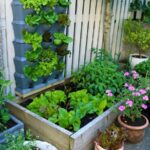 Quickstart Guide to Container Vegetable Gardening • Lovely Gree