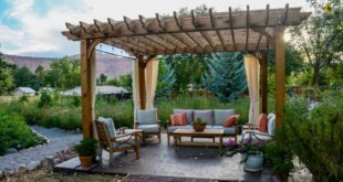 What Are the Benefits of Using Pergolas as Deck Covering