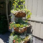 40 Unique Container Gardening Ide