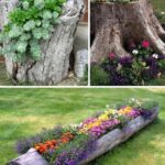 24 Creative Garden Container Ideas | Use tree stumps and logs as .