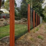 DIY Dog Fence Ideas and Installation Tips: 6 Best Cheap Designs .