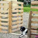 Dog-Friendly Backyard Ideas on a Budget - Inspiration Gui