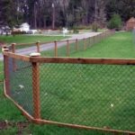 30+ Cheap Dog Fence Ideas and Designs For Your Backyard (2024 .