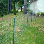 Quick and Easy Dog Fence Ideas | Social Doggy Club | Diy dog fence .