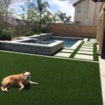 Artificial Grass for Dog Run | Celebrity Greens Phoen