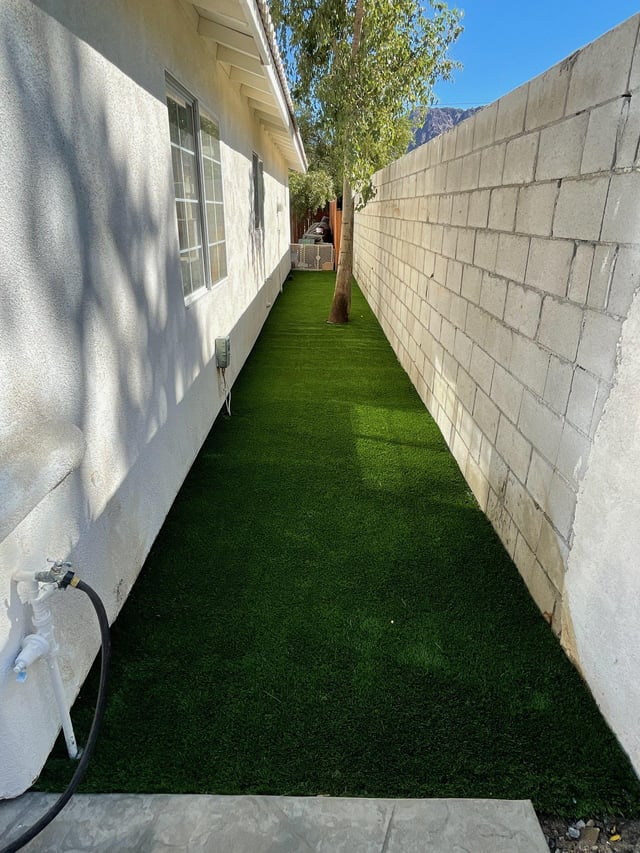 The Ultimate Guide to Creating a Dog Run in Your Side Yard