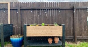 Easy DIY Raised Garden Bed - Love & Renovatio