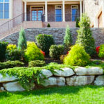 Types of Evergreens for Landscaping Trees and Shru