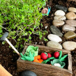 DIY Fairy Garden Ideas - Stacy Risenm