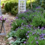 Simple Country Farmhouse Landscaping Ideas with Stone Flower Bed .