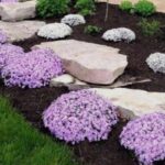 7 Fantastic Benefits of Mulching Flower Beds – Lumberjac