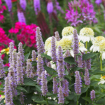 How to Plan Your Flower Bed for Maximum Impact - Stephens .