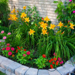 Tips to Keep Your Flower Beds Beautiful - New England Quality .
