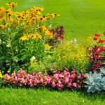 Maintaining Summer Landscapes & Flower Beds - ExperiGre