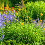 How to Plan a Flower Garden | Brec