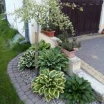 Curved Garden Edging for a Fresh Outdoor Spa