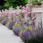 5 TIPS FOR DESIGNING THE PERFECT FRONT YARD FEN