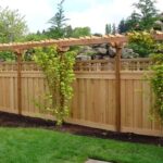 Backyard Fencing Ideas - Landscaping Netwo