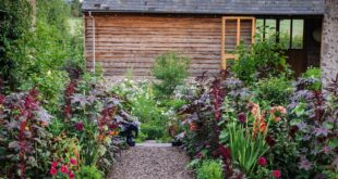 Garden Border Ideas: Beautiful Planting Ideas for the Garden | BBC .