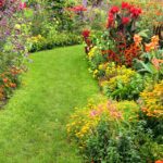 Garden Border Ideas: Design, Style, Planting And Maintenan