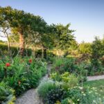 Garden Border Ideas: Beautiful Planting Ideas for the Garden | BBC .