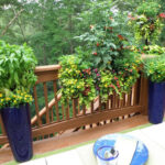 Deck Gardening & Creative Ways to Grow Herbs & Vegetables – Bonnie .