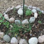 How to Add Interest and Productivity with a Circle Garden Design .