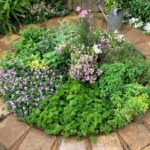 Planning a garden 'in the round' | Flea Market Gardeni