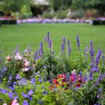 How to Start a Flower Garden: 3 Steps for Beginners | Garden Desi