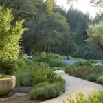 Mediterranean Garden Design Inspiration from the Exper