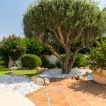 Mediterranean Garden Ideas and Inspiration | Garden Desi