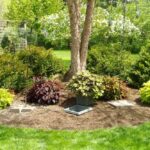 Problem Solved – Planting Flowers Under Trees | Tips and Tricks .