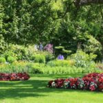 Tips And Ideas For Landscaping Around And Under Trees – Forbes Ho