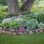 Flower bed designs under trees: 32 juicy options in the shade | My .